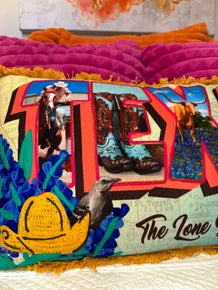 Texas Embroidered Pillow