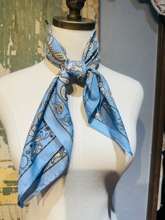 Light Blue Paisley Twilly