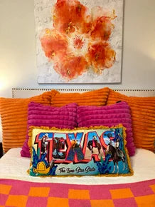 Texas Embroidered Pillow